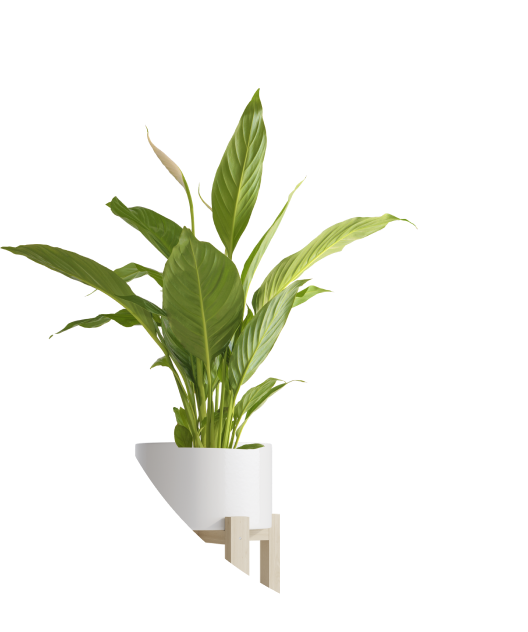 ArtUp Portfolio & Staging App